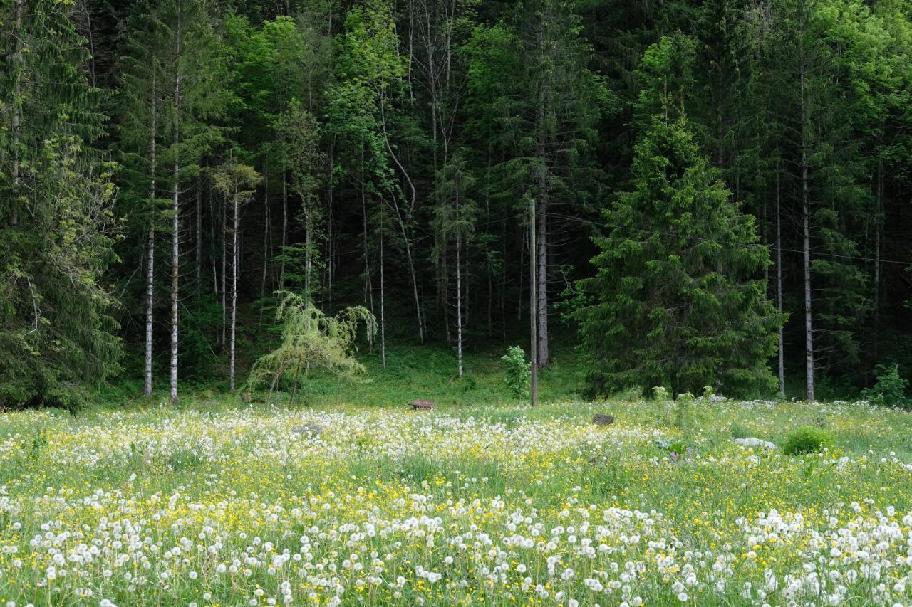 Riversong Centre Thermal Les Plans-sur-Bex Εξωτερικό φωτογραφία